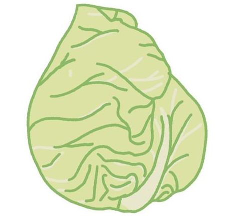 近期蔬菜價(jià)格普遍偏高 市民不妨購(gòu)買(mǎi)牛心菜