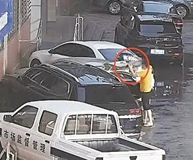 交警接到群眾警報(bào) 一男子當(dāng)街更換車牌 