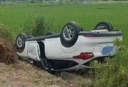 小狗突然沖出道路 轎車猛打方向發(fā)生側(cè)翻