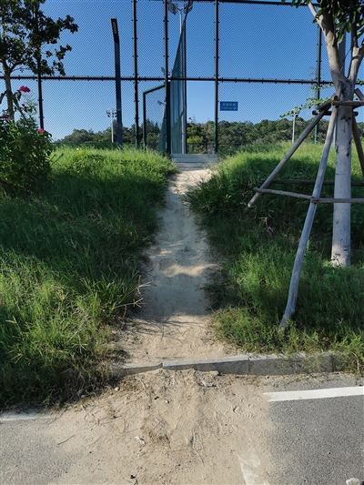 綠化帶遭到市民不文明破壞  廣大市民需提高整體素質(zhì)