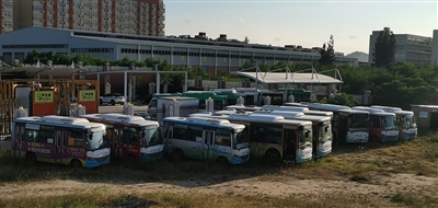 石獅完成新能源公交更新應(yīng)用 改善市民乘車環(huán)境