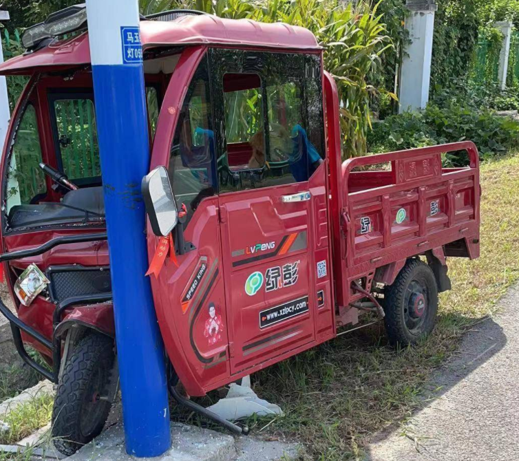 車內(nèi)寵物干擾駕駛員注意力 三輪電動車撞上電線桿