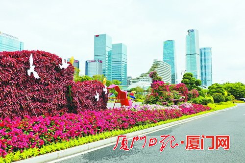 廈門市島內(nèi)“金鑰匙”繁花擁簇 讓賓客感受別樣風(fēng)情