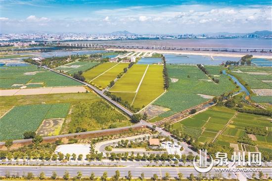 石獅市推進(jìn)農(nóng)村人居環(huán)境整治 打造“萬畝城市中央公園”