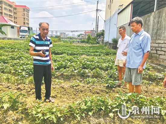 李時(shí)鐘：每年義務(wù)開展培訓(xùn) 助農(nóng)腳步從未停歇
