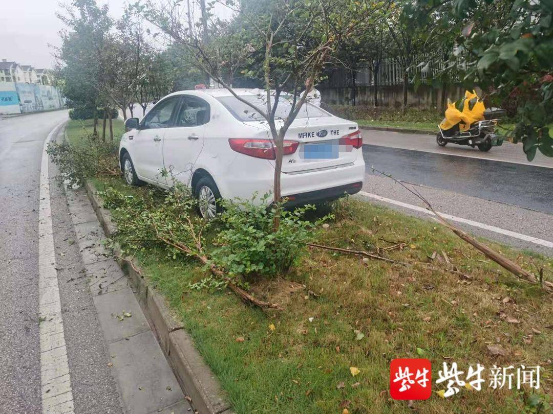 男子盲目超車因車速過(guò)快 沖上綠化隔離帶
