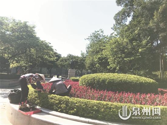 中山公園正加快種植時(shí)花 營(yíng)造國(guó)慶節(jié)日氛圍