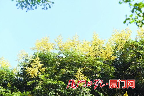 廈門將出現(xiàn)陣雨或雷陣雨 有望迎來短暫的清涼