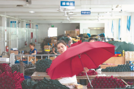 東石傘業(yè)集群實(shí)現(xiàn)逆勢(shì)增長(zhǎng) 每年產(chǎn)量約占全國(guó)1/3