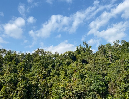 金山鎮(zhèn)鵝仙洞確有“白衣仙子” 成為一道獨(dú)特風(fēng)景