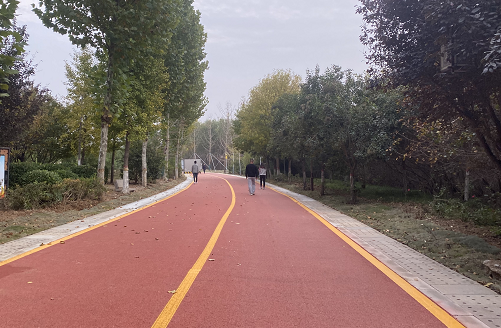 洛江區(qū)集中力量參與創(chuàng)城工作 用實際行動美化城市