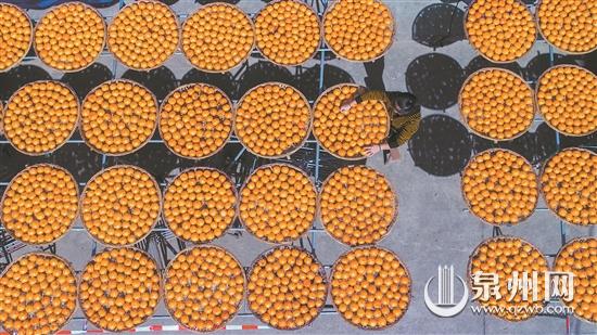 八閩大地到處可見(jiàn)豐收畫(huà)卷 讓人不由感嘆“秋韻無(wú)限”