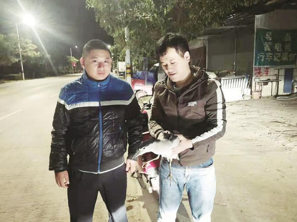 執(zhí)法隊員巡查時救助迷途小鳥 此鳥為保護動物夜鷺