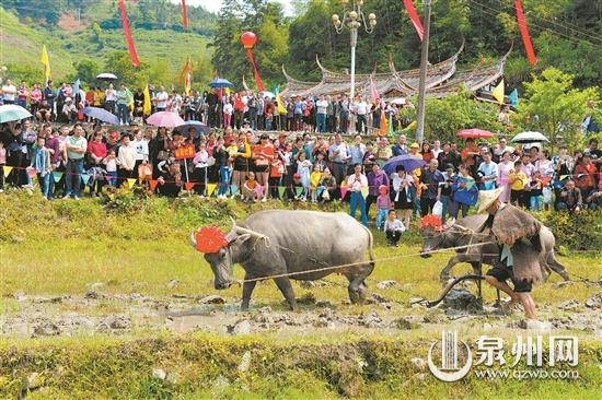 德化縣雷峰鎮(zhèn)利用資源優(yōu)勢 繪就一幅鄉(xiāng)村振興藍圖