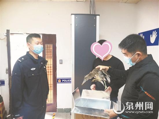 熱心群眾發(fā)現(xiàn)保護(hù)動(dòng)物“流落街頭” 警民深夜聯(lián)合救助