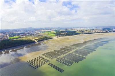祥芝鎮(zhèn)開啟“耕海牧漁”2.0模式 推進漁業(yè)發(fā)展轉(zhuǎn)型升級