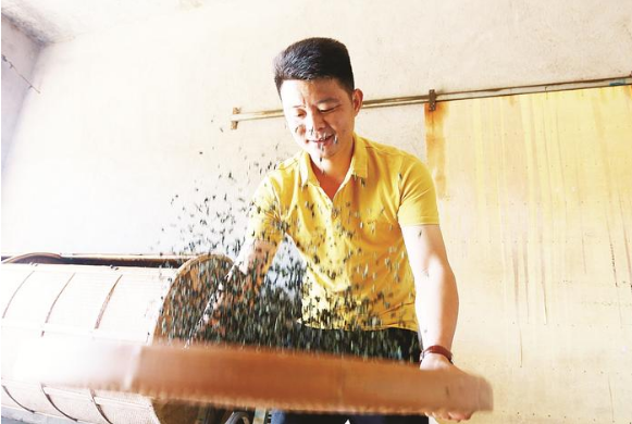 “茶王”切磋：不同人做出不同茶 促進(jìn)制茶工藝創(chuàng)新