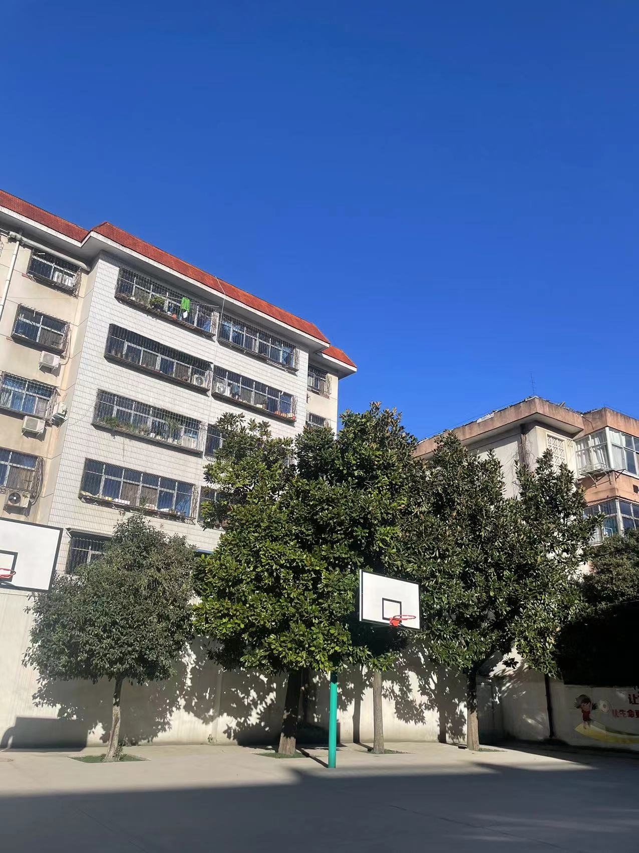 奧運冠軍楊麗婉親臨現(xiàn)場助陣社區(qū)趣味運動會