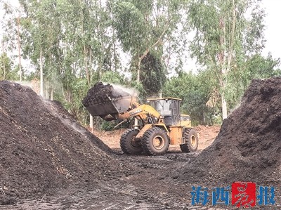 落葉枯枝成有機(jī)肥初料 變廢為寶滋養(yǎng)城市綠意