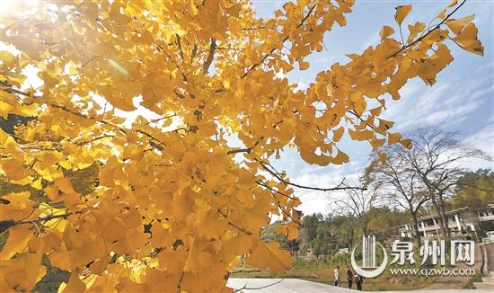 藍(lán)天白云美圖刷爆朋友圈 泉州午后氣溫上升至24℃-27℃