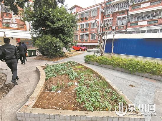 市容市貌觀察團走進鯉城區(qū) 解決多部門難點問題