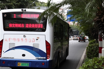 行道樹(shù)太過(guò)茂盛會(huì)“闖禍”！樹(shù)枝掃進(jìn)車(chē)窗乘客受驚擾