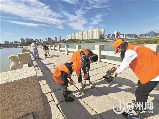 洛陽鎮(zhèn)志愿服務隊為守護古橋鋪就文明底色