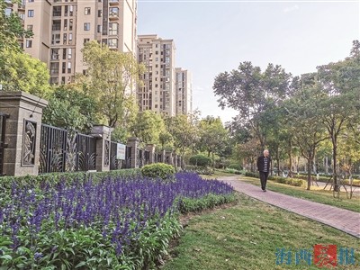海滄首個花漾街區(qū)項目完工 50余種新品種花卉裝點街區(qū)