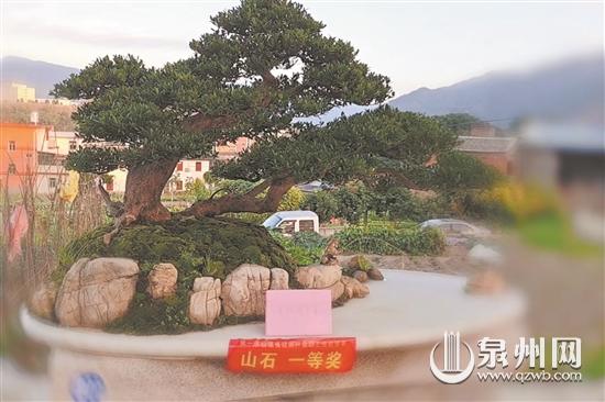 盆景行業(yè)職業(yè)技能競賽開賽 67名選手同臺競技