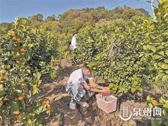 豐澤區(qū)一旅游學(xué)院開展尋根之旅研學(xué)活動