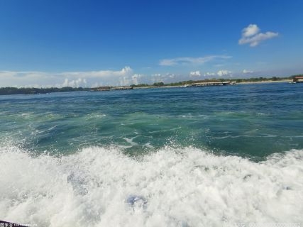 “海絲”品博會設立“海洋經(jīng)濟館” 推進企業(yè)向精深加工發(fā)展