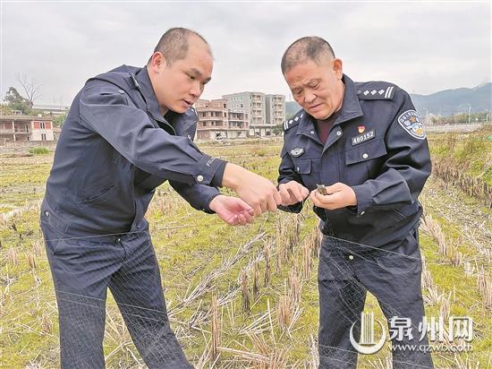 撐起漁網(wǎng)捉麻雀 警方提醒：違法！