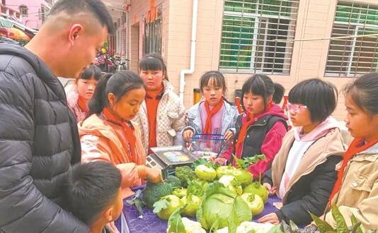 洛江區(qū)河市中心小學(xué)開(kāi)展“有機(jī)蔬菜”愛(ài)心義賣(mài)活動(dòng)