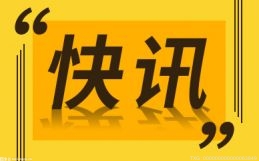租車抵押非法騙取 一詐騙團(tuán)伙被搗毀