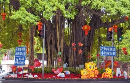 福州道路、公園披“新裝”迎新春