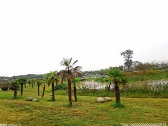阜陽市保護(hù)生態(tài)環(huán)境會議召開 大力度推進(jìn)綠色低碳發(fā)展 