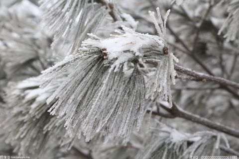 南昌連日寒潮持續(xù) 單日用氣量突破今年以來最高值
