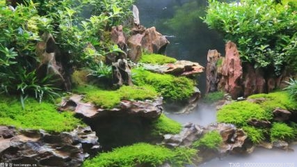 基礎(chǔ)設(shè)施建設(shè)要堅(jiān)持系統(tǒng)觀念 做好要素協(xié)同政企協(xié)同