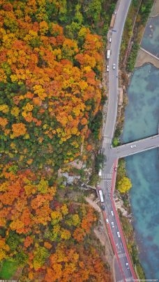 云南農民生活質量持續(xù)改善 預期收入增長趨勢明顯