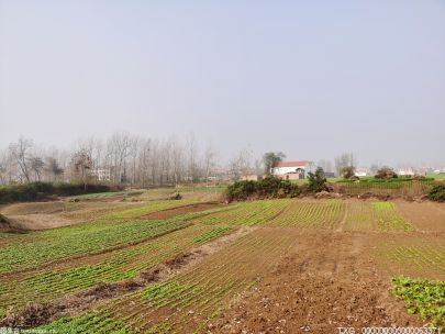 樅陽(yáng)縣6.5萬(wàn)畝高標(biāo)準(zhǔn)農(nóng)田 建設(shè)完成進(jìn)度超93%