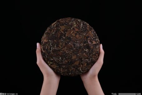 郎溪凌笪鎮(zhèn)返鄉(xiāng)當(dāng)“茶老板” 搶抓季節(jié)種茶忙