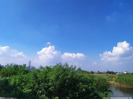 廣西壯族自治區(qū)桂林市統(tǒng)計(jì)局 開展“揭榜掛帥”主題活動(dòng)