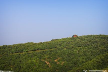 山坡故事在記憶中 永遠(yuǎn)伴隨同行