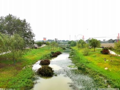 安徽建立濕地自然保護區(qū) 注重單個保護地的保護