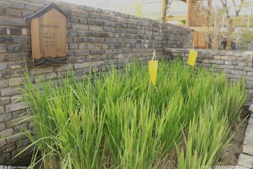 安徽打好產(chǎn)業(yè)“組合拳” 推動發(fā)展能級整體提升