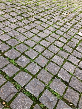合肥循環(huán)經(jīng)濟(jì)示范園泰和社區(qū) 積極開展道路修繕工作