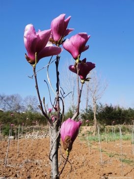 國(guó)家統(tǒng)計(jì)局福建調(diào)查總隊(duì) 深入九市一區(qū)開(kāi)展專(zhuān)題調(diào)研