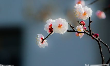 合肥肥東縣舉行戲曲進(jìn)校園活動(dòng) 設(shè)立三年240個(gè)學(xué)時(shí)戲曲培訓(xùn)