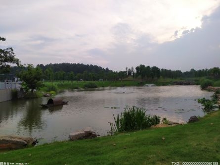 植物染非遺文創(chuàng)產(chǎn)品設(shè)計(jì)研究獲獎(jiǎng) 成為廣東省唯一入選高校項(xiàng)目
