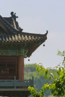 深圳林長(zhǎng)辦赴各區(qū)進(jìn)行現(xiàn)場(chǎng)督導(dǎo)調(diào)研 全面實(shí)施林長(zhǎng)制